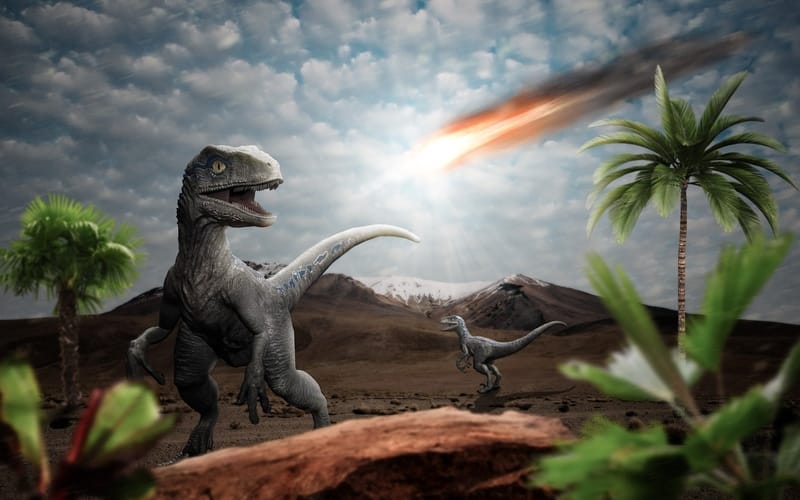 meteorite dinosaur extinction