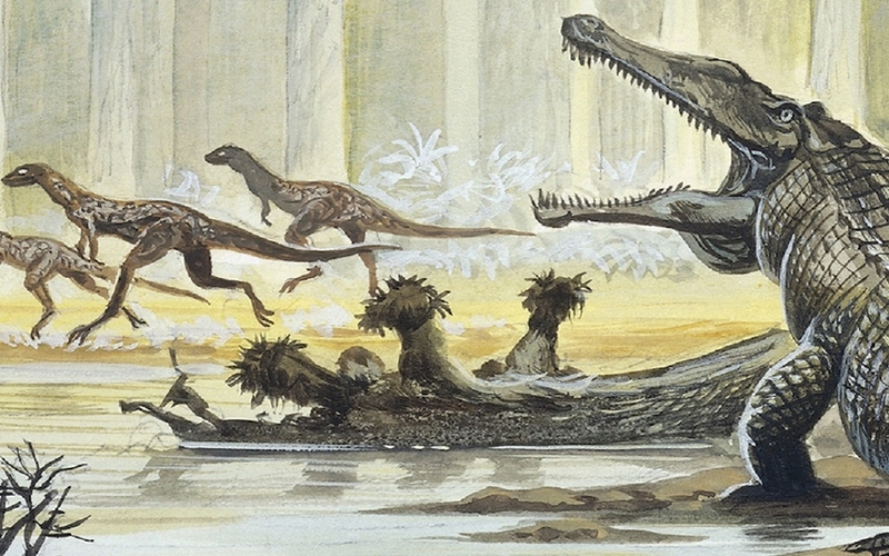 Reptile Evolution Was Triggered by Extreme Climate - The Hoard Planet